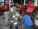 bild (10)